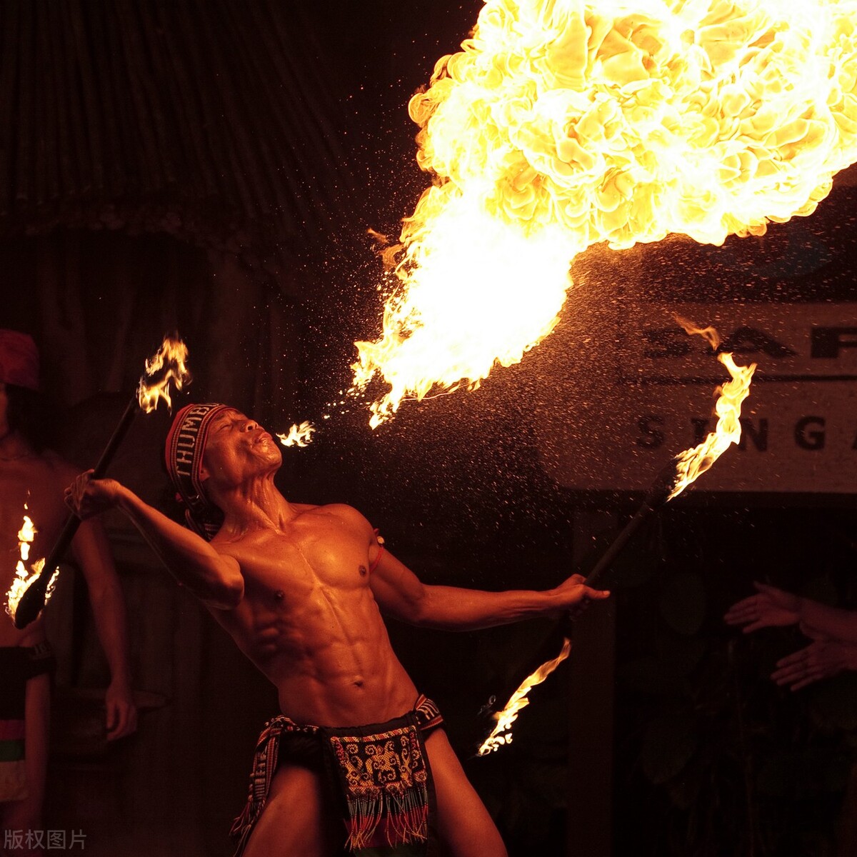 新加坡夜间野生动物园,新加坡野生动物园哪些值得看