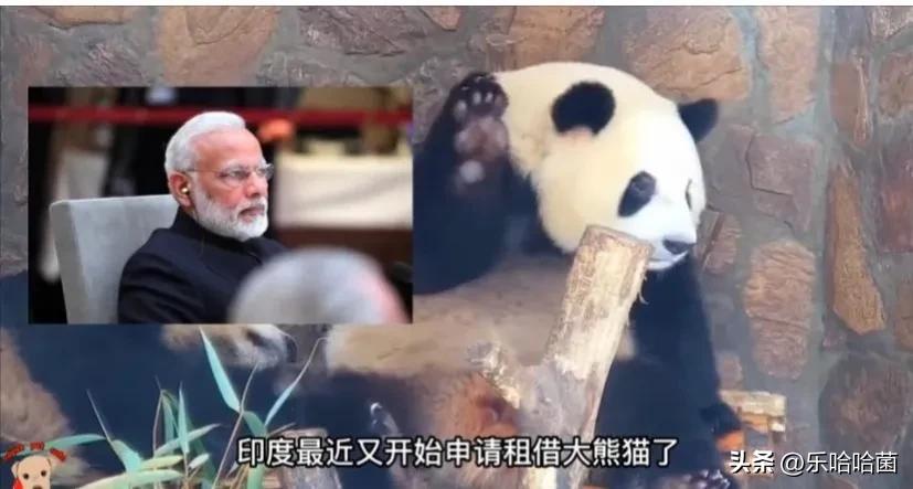 肾衰脚先知什么意思,孤肾的人肾不好有什么症状