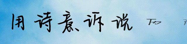 白茶煮蛋事件,把全网逼疯的白茶事件