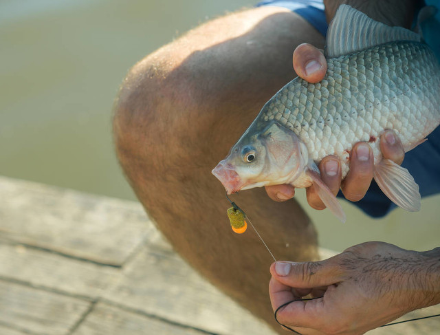 新手绑钩干货教程,详解绑钩诀窍
