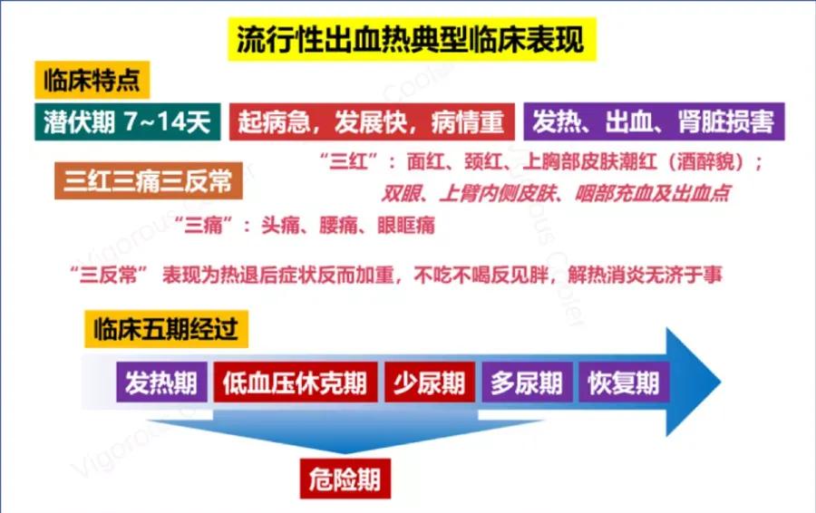 出血热怎么预防传染,预防出血热主题班会