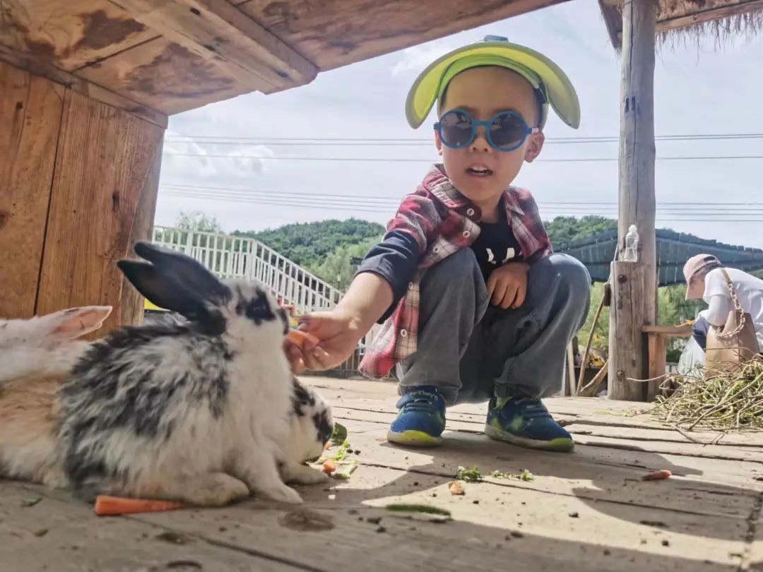 国庆假期秋游鞍山丨鞍山这些亲子游打卡点！家长们赶紧收好备用