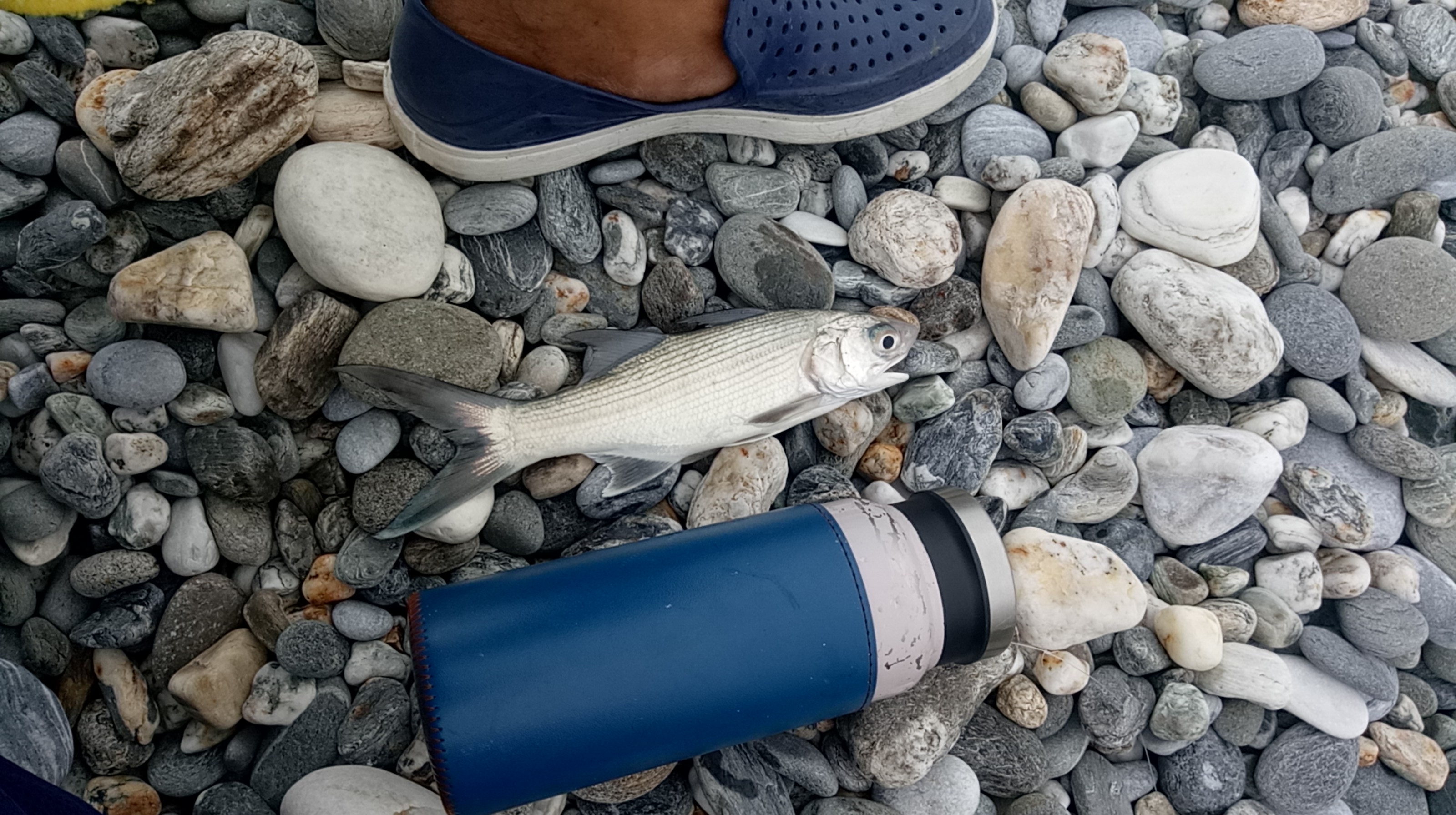 花莲县钓鱼,花莲在哪里海钓