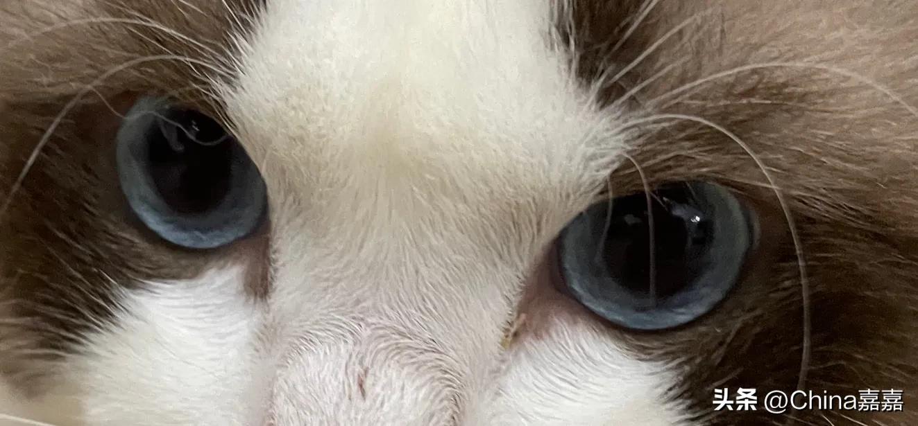 这个才能治愈你的不开心