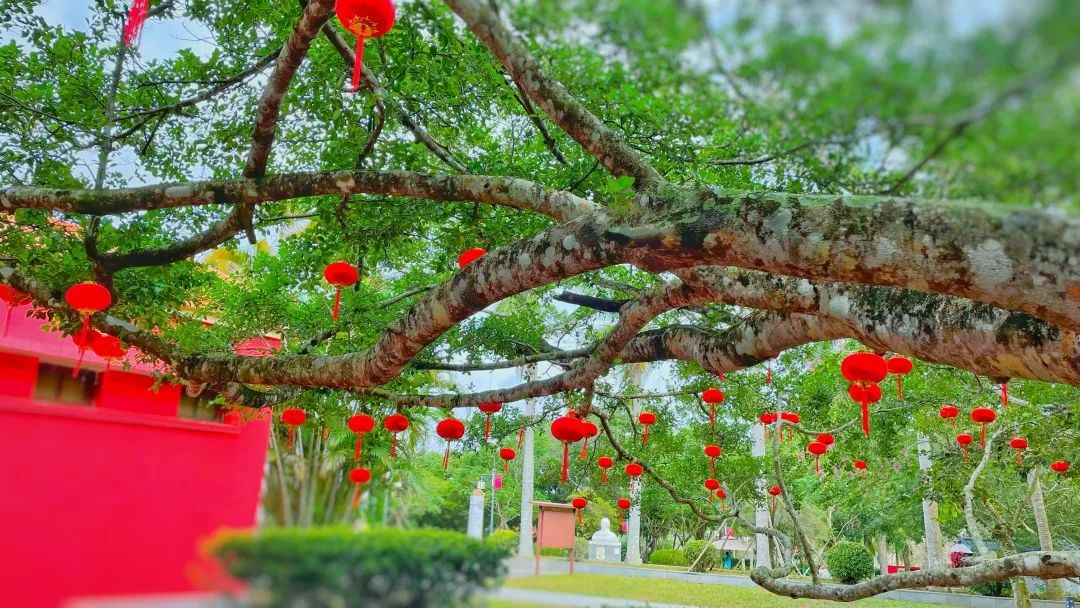 海南环岛自驾游6天住哪里,海南岛自驾性价比最高旅游攻略