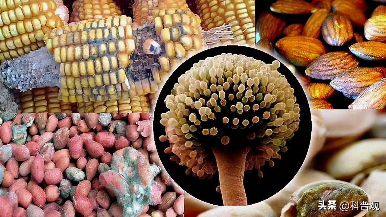 1克熟茶,十五年普洱熟茶还能喝吗