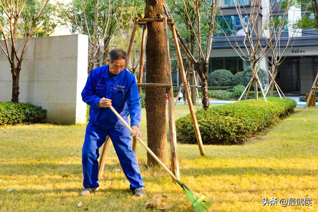 有一种幸福叫公园绿地就在家门口,有一种幸福叫阳光的温暖