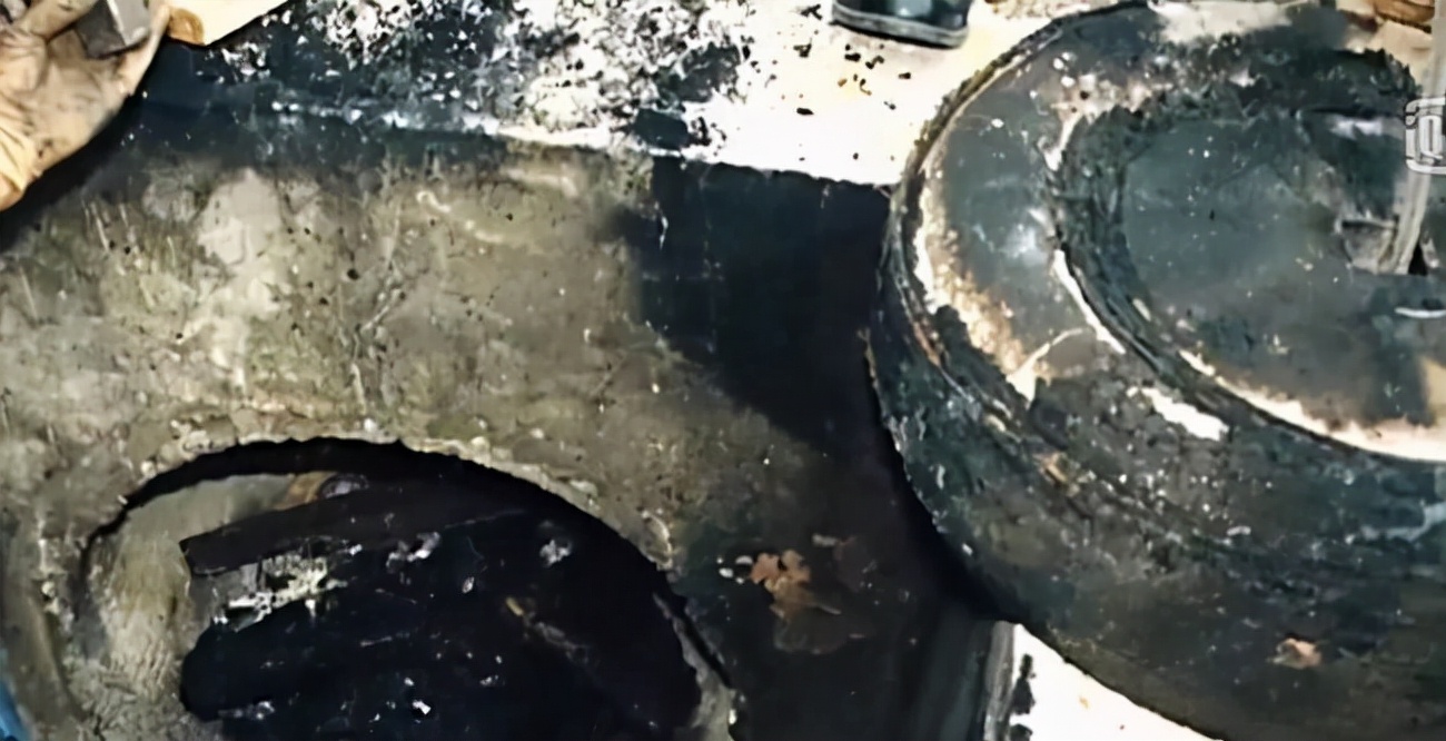 华裔少妇失踪案,19岁女孩失踪7年后发现尸体