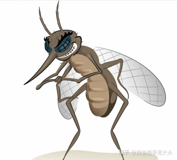 你知道的最震惊的冷知识是什么？