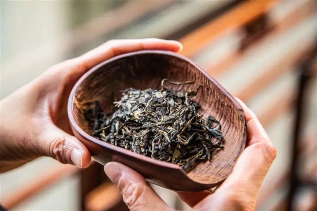 双陈茶厂经典茶,中茶经典再现