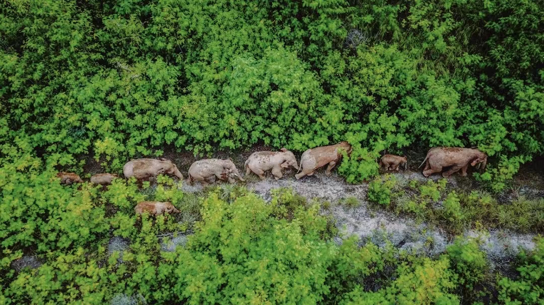 有一种生活叫云南的怒江,有一种生活叫云南生活发布会图片