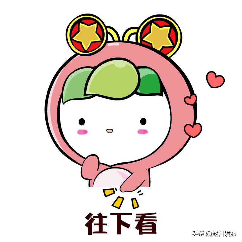 赵县大学生社会实践,辛集市返家乡社会实践报名入口