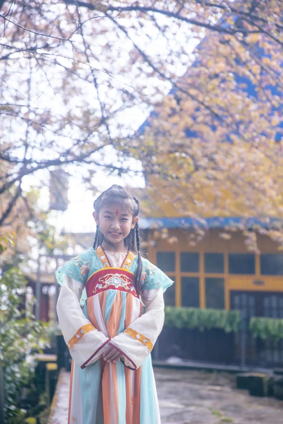 腾冲十里樱花风景区,腾冲到樱花谷旅游攻略