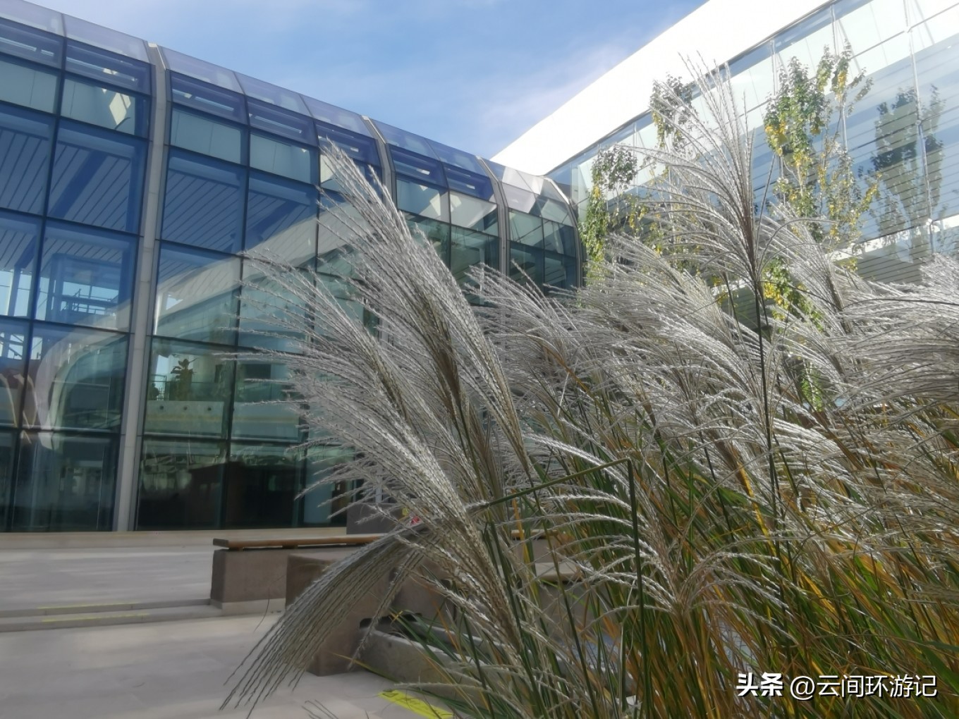 有情亦要食（延边延吉）