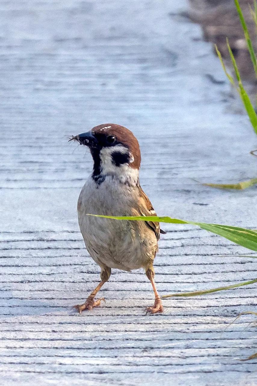 上海市嘉定区安亭国际汽车城,上海嘉定安亭国际汽车城