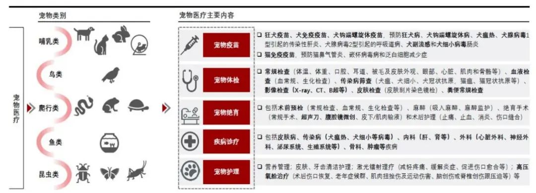 宠物医院看病为啥那么贵,为什么宠物医院很贵
