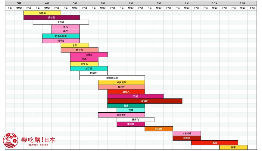 北海道的薰衣草花海在哪里,日本北海道薰衣草花海图片