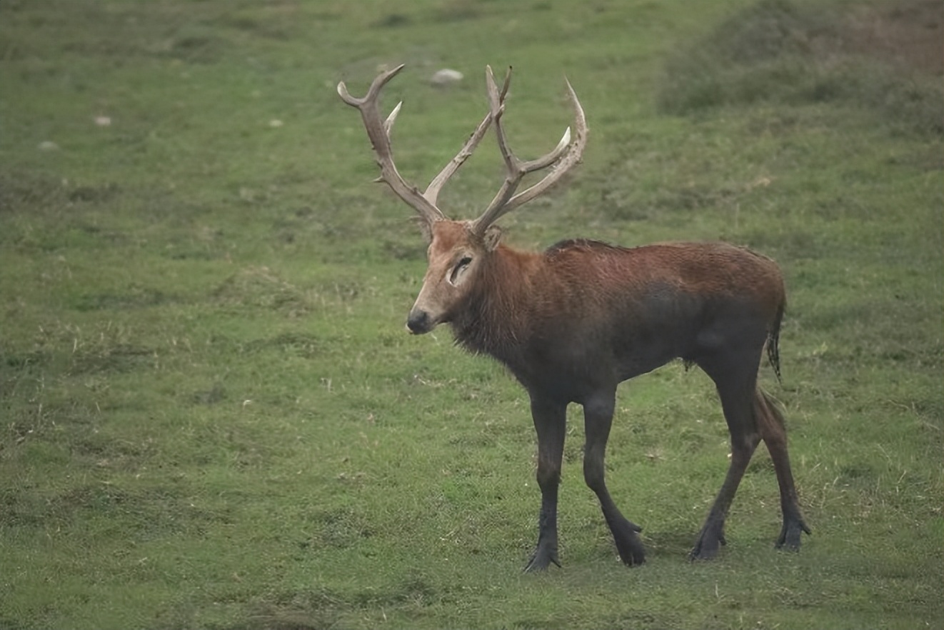 生态环境科普进校园,生态环境保护课程入课堂