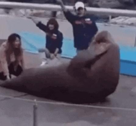 世界首富约架,世界首富经商法则