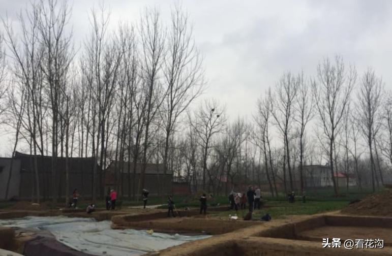 195.河南省舞阳县的概况