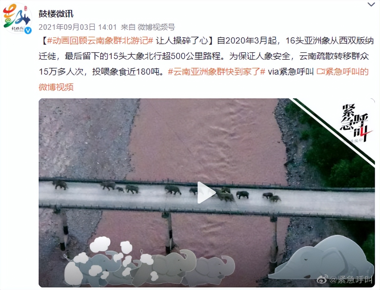 百万粉丝女网红“吃播”后被封杀,网友怒了:别让孩子毁于无知