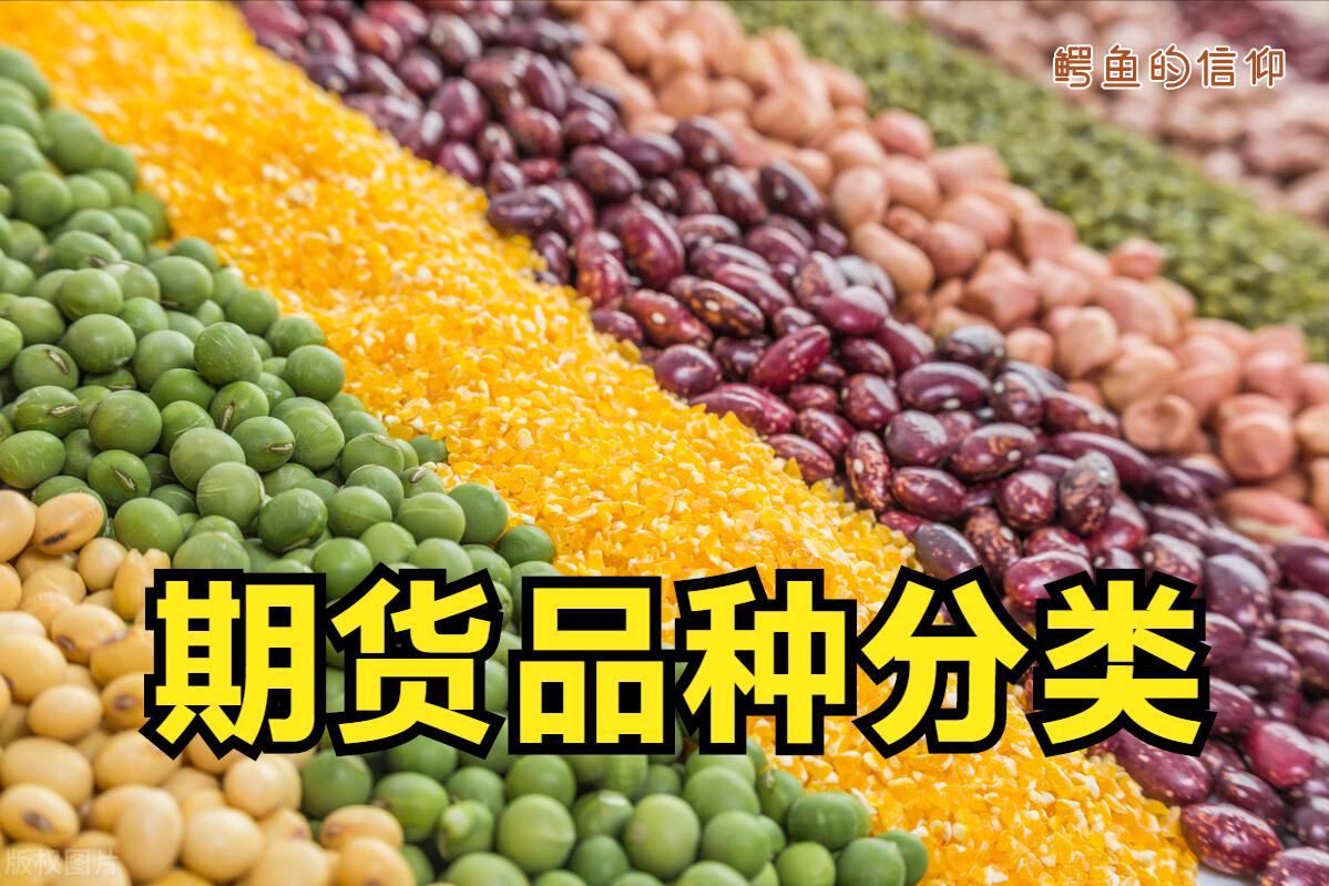 期货投资分析第三章讲解,期货投资案例分析