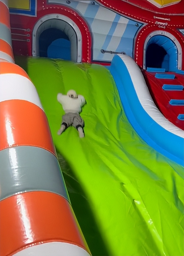 王小麦搞笑萌娃,萌娃王小麦到底有何与众不同