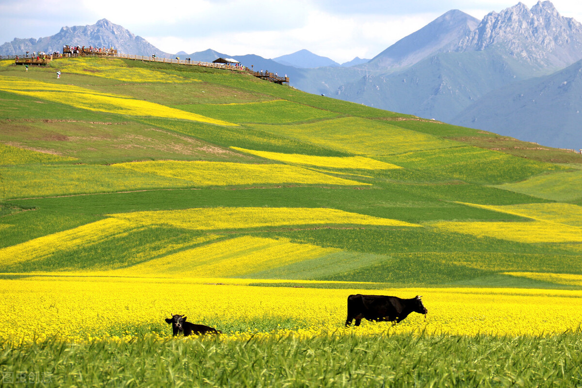 任何人错过青海这几个地方,我都会伤心的