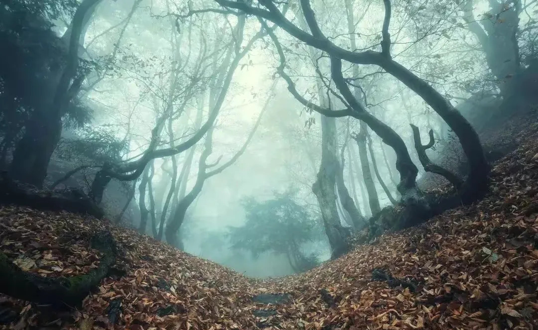 瘴气一般是什么季节出现,华南地区的瘴气为什么会消失