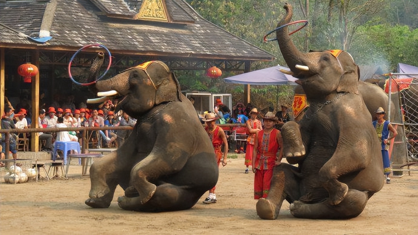 泰国高清图片大全,泰国旅游图片大全真实照片