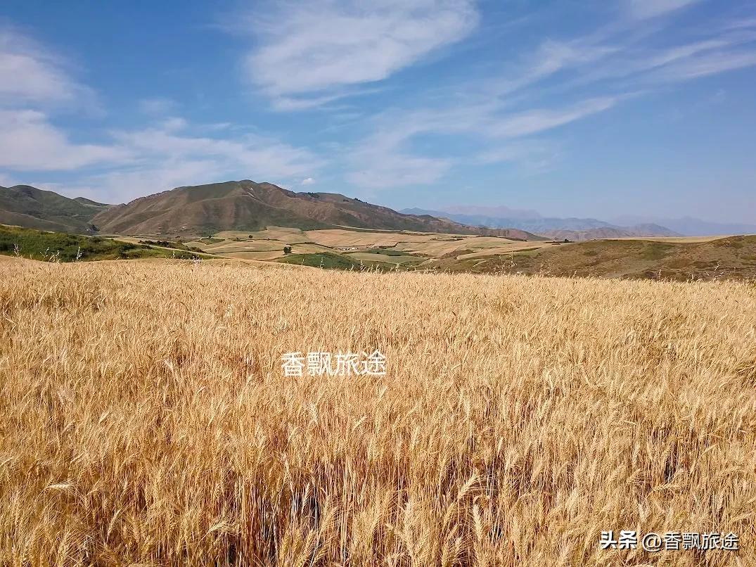 新疆伊犁州江布拉克,新疆奇台江布拉克