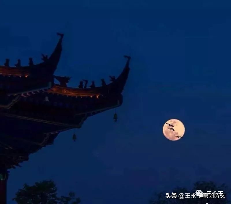 咏月诗10首及赏析,有哪些咏月的诗词