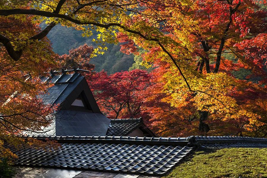 浜兘閰掑簵鎺ㄨ崘鏃ュ紡,浜兘鏃ュ紡鏃呴鎺ㄨ崘