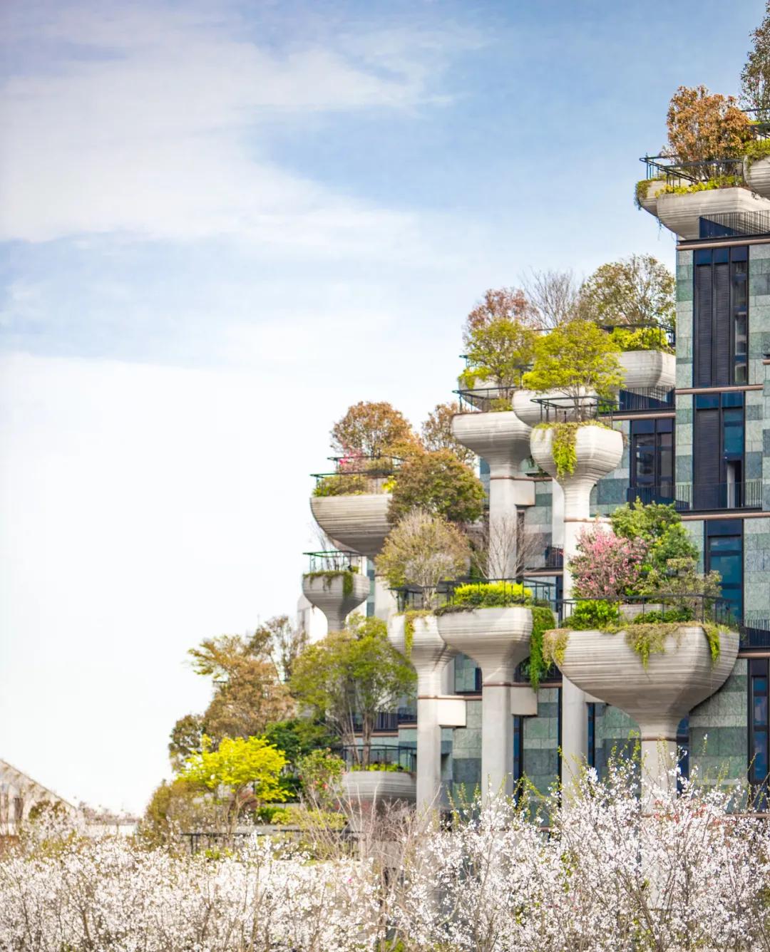 未来即明天,未来即现在最新全部章节在线阅读