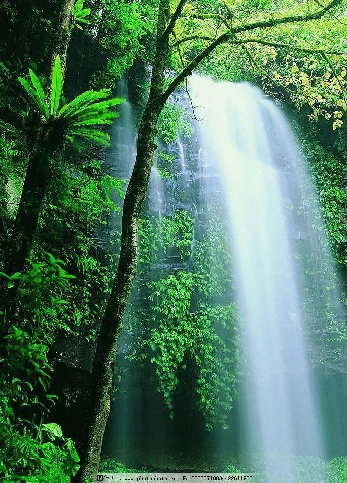 真实大自然风景图片手机壁纸,花草树木壁纸高清风景图片