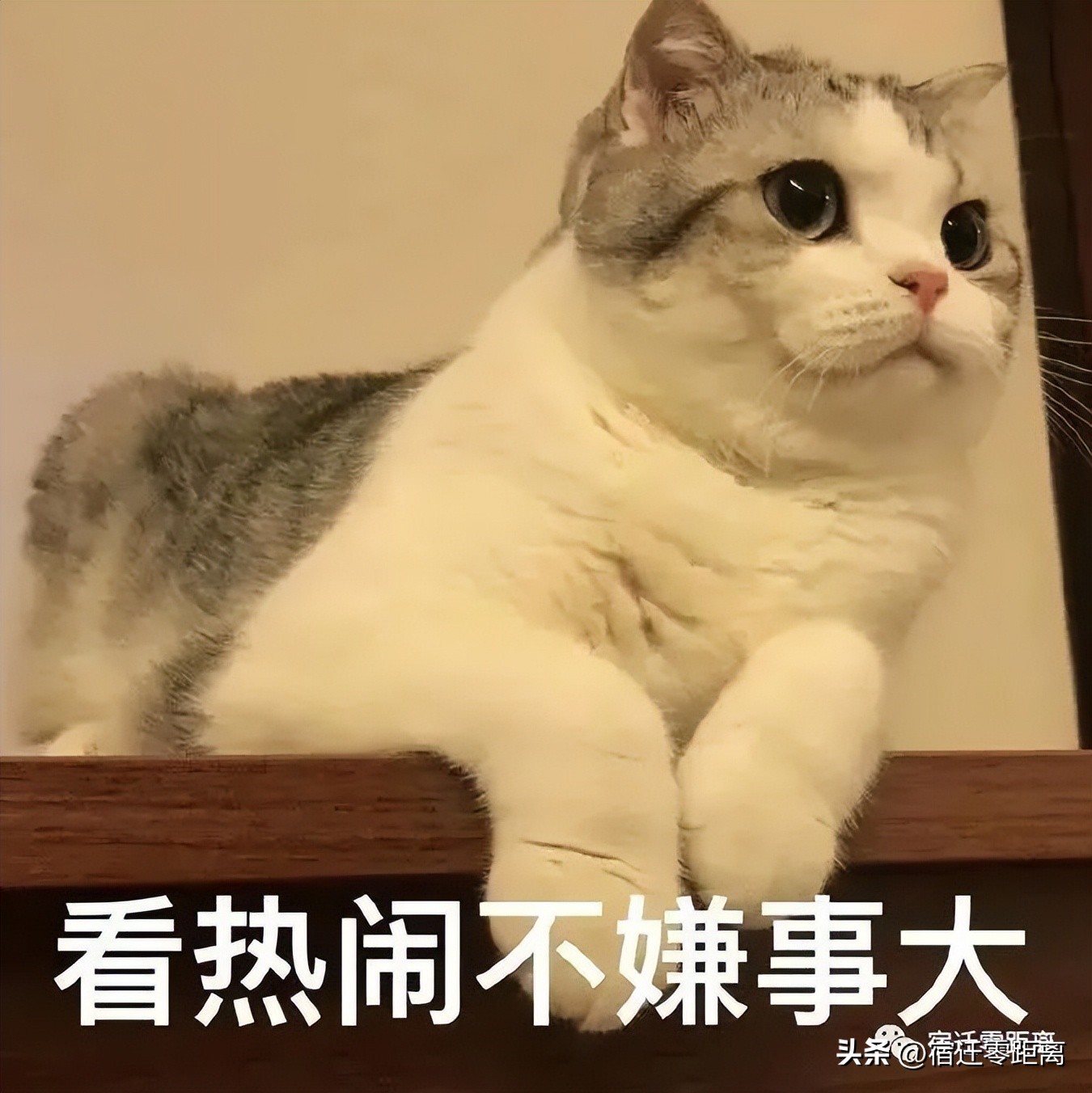 灞辨按浜戞埧瀹胯縼,瀹胯縼灞辨按浜戞埧鐗╀笟鐢佃瘽