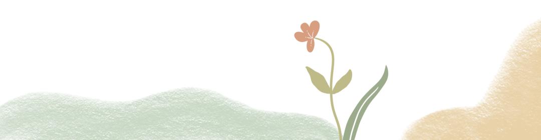 仙人掌花开的如此绚烂,仙人掌开花代表什么