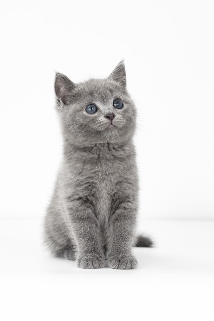 失业日记23集,42岁失业自述