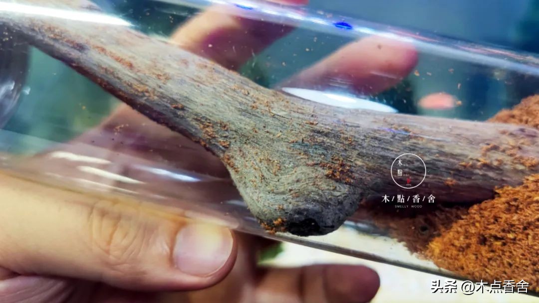 怎样的降真香最好,降真香要怎么把玩