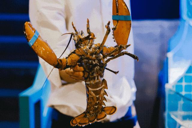 浪花美食攻略,浪花食物