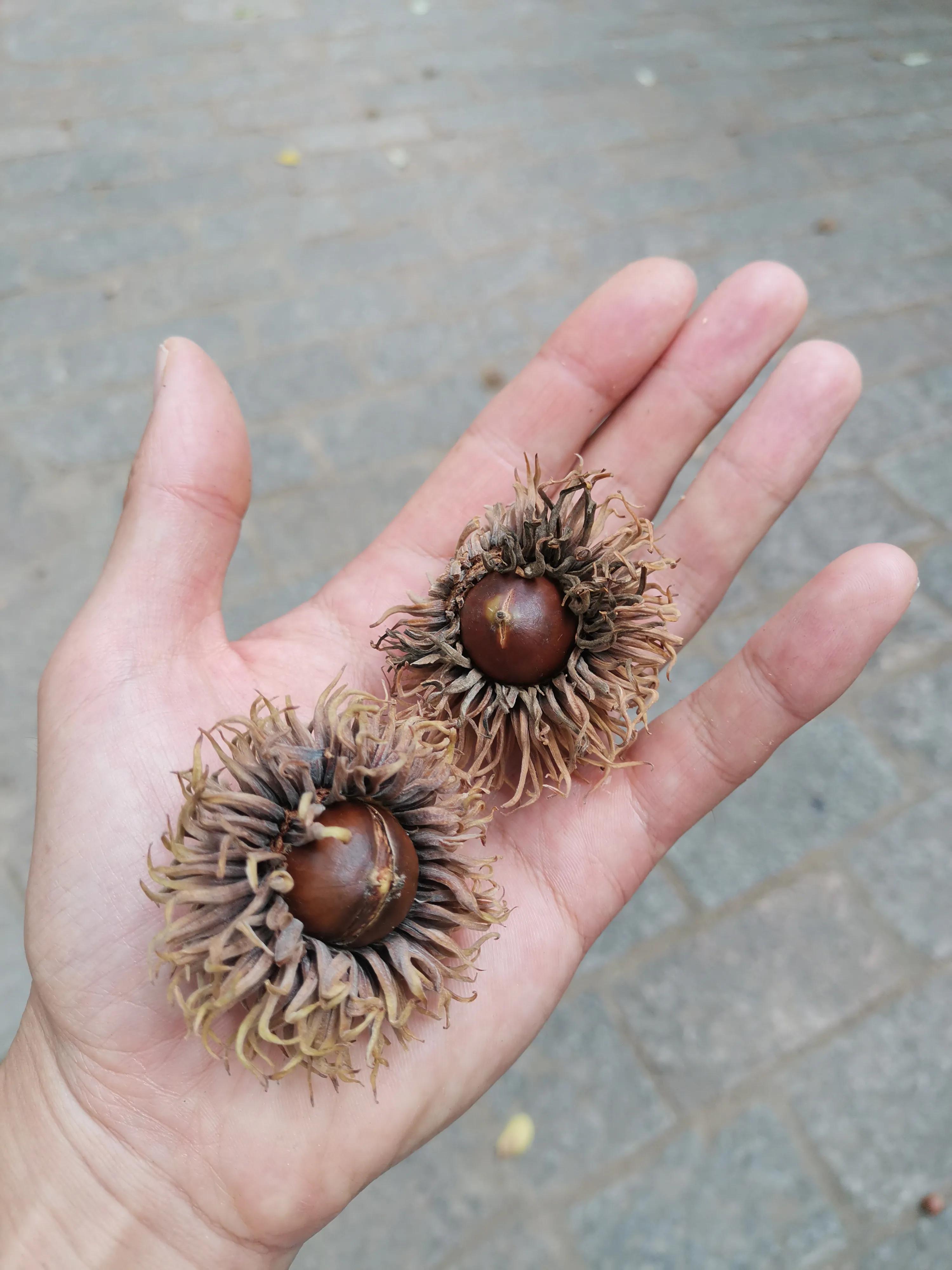 南京出发到镇江一日游跟团多少钱,南京去镇江旅行攻略路线