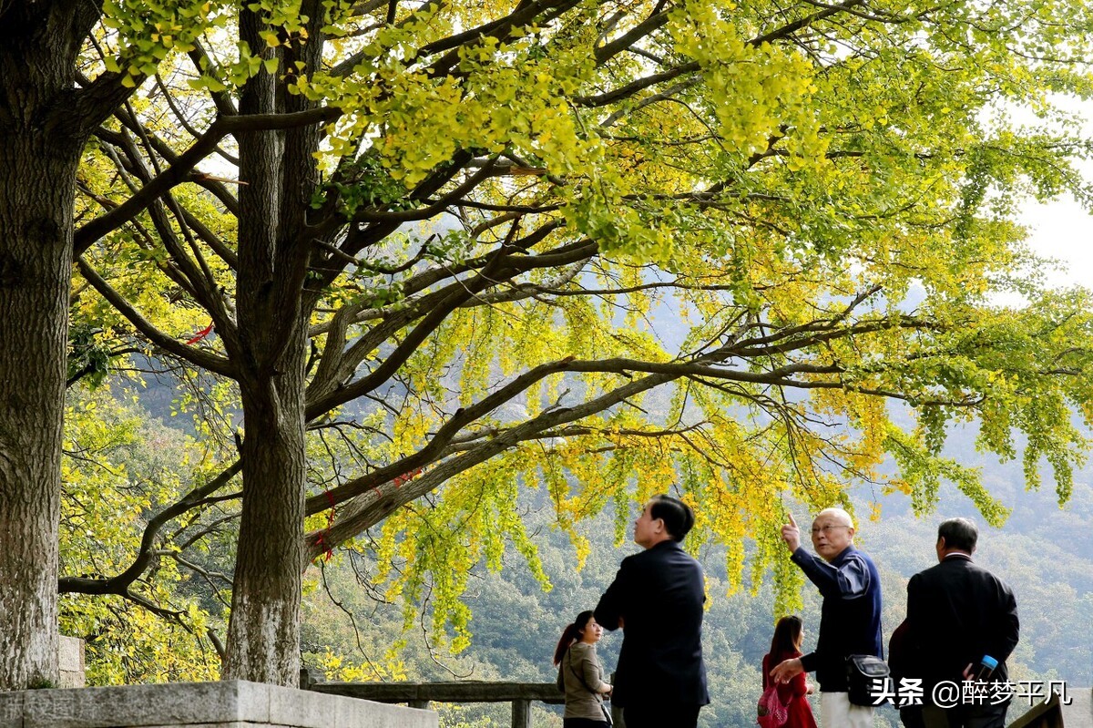 江苏省连云港市花果山景区,连云港花果山景区游览路线图