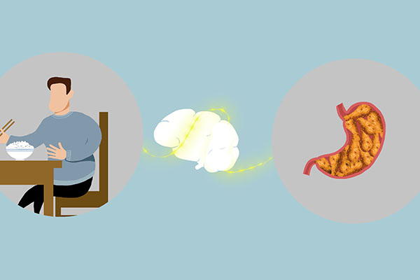 哪些疾病会引起胆红素升高,引起胆红素升高的疾病有哪些