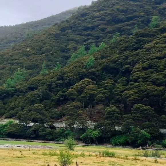 赛里木湖畔（3）录屏自微信视频号少林带你奇幻漂流