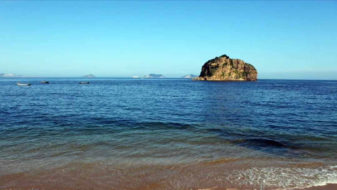 大连渔业发展,大连有多少种鱼类