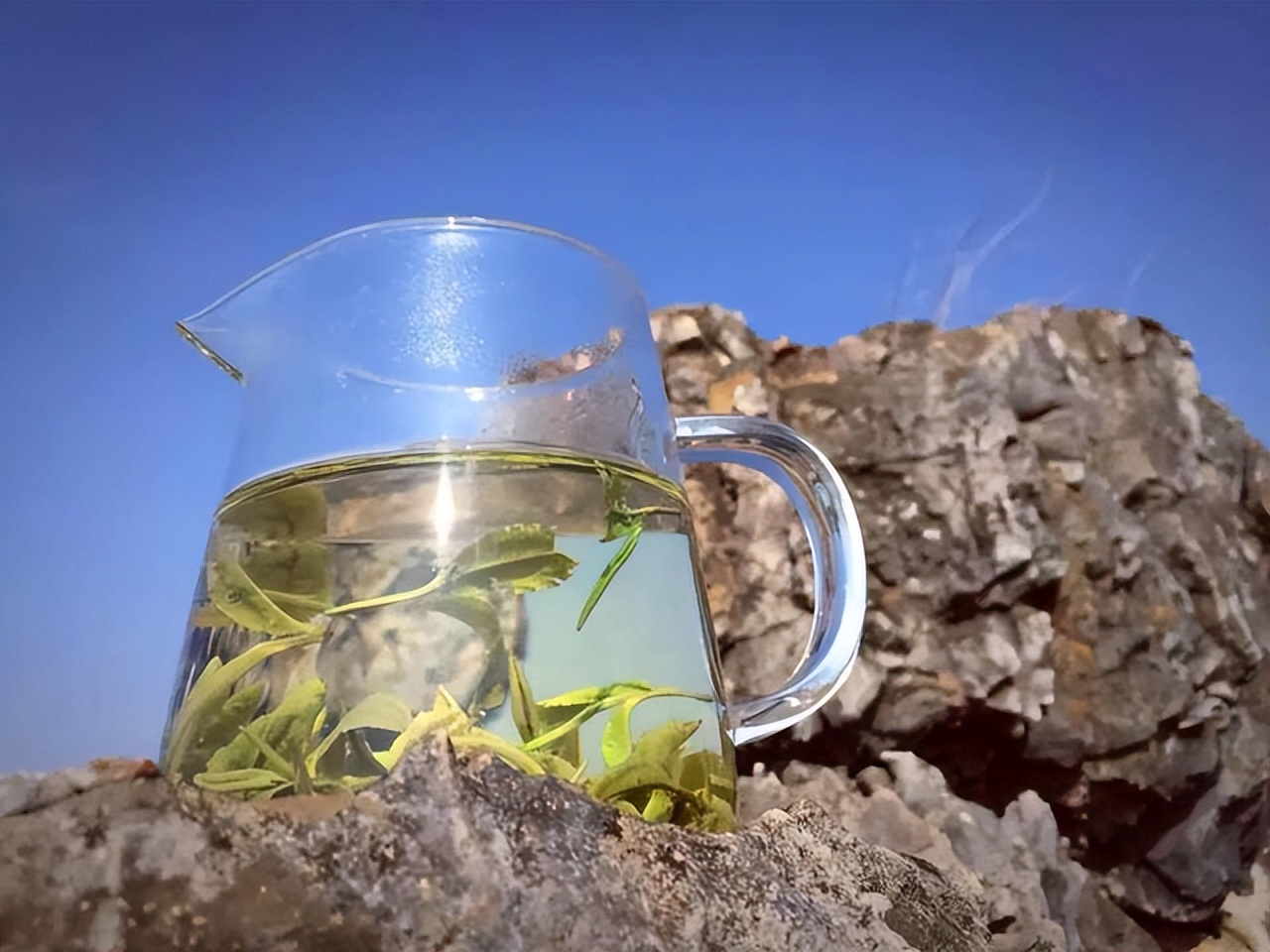 比龙井好喝的茶是什么茶叶,比龙井好的茶有哪些