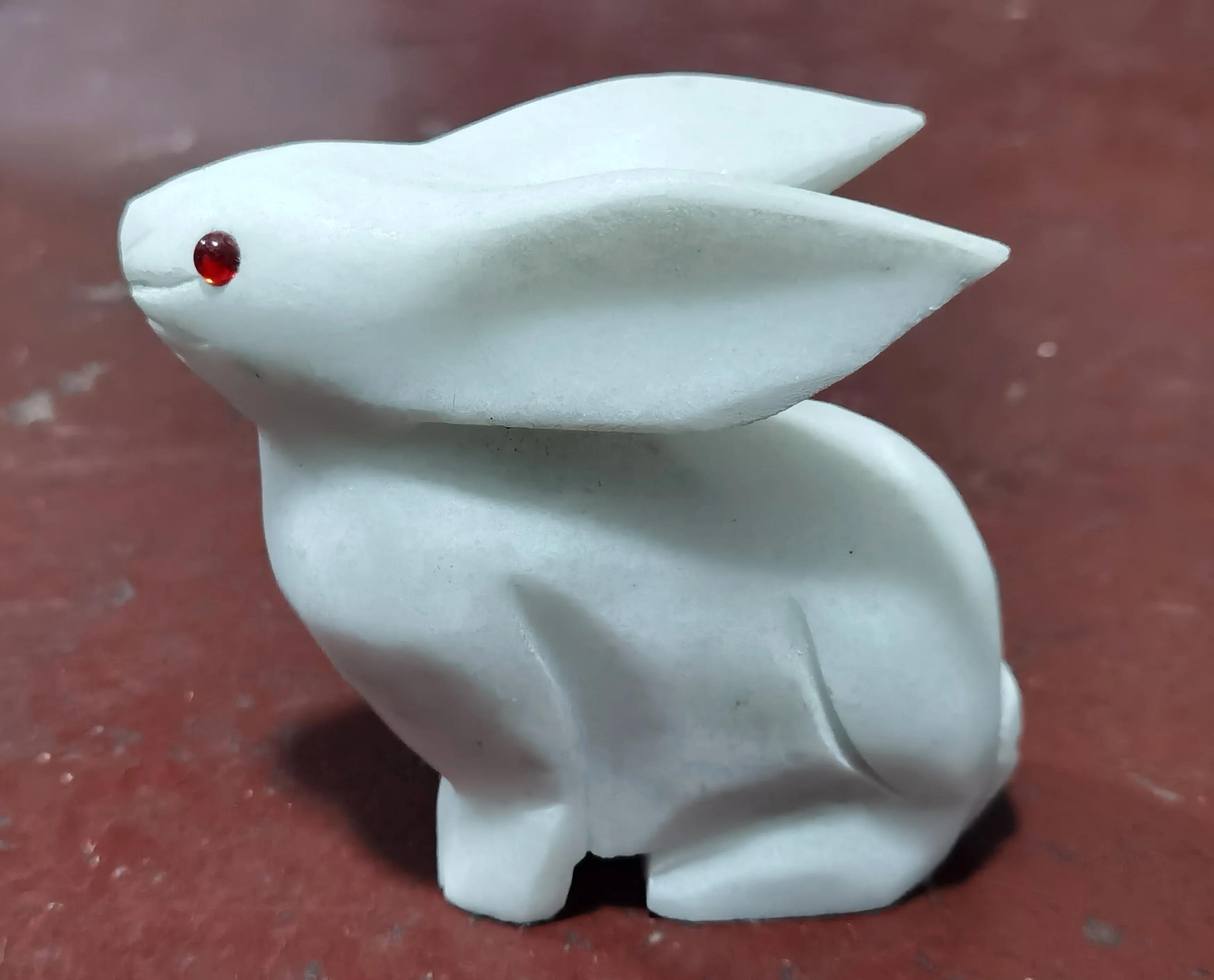 兔子什么时候学会打洞,兔子打洞是公兔还是母兔