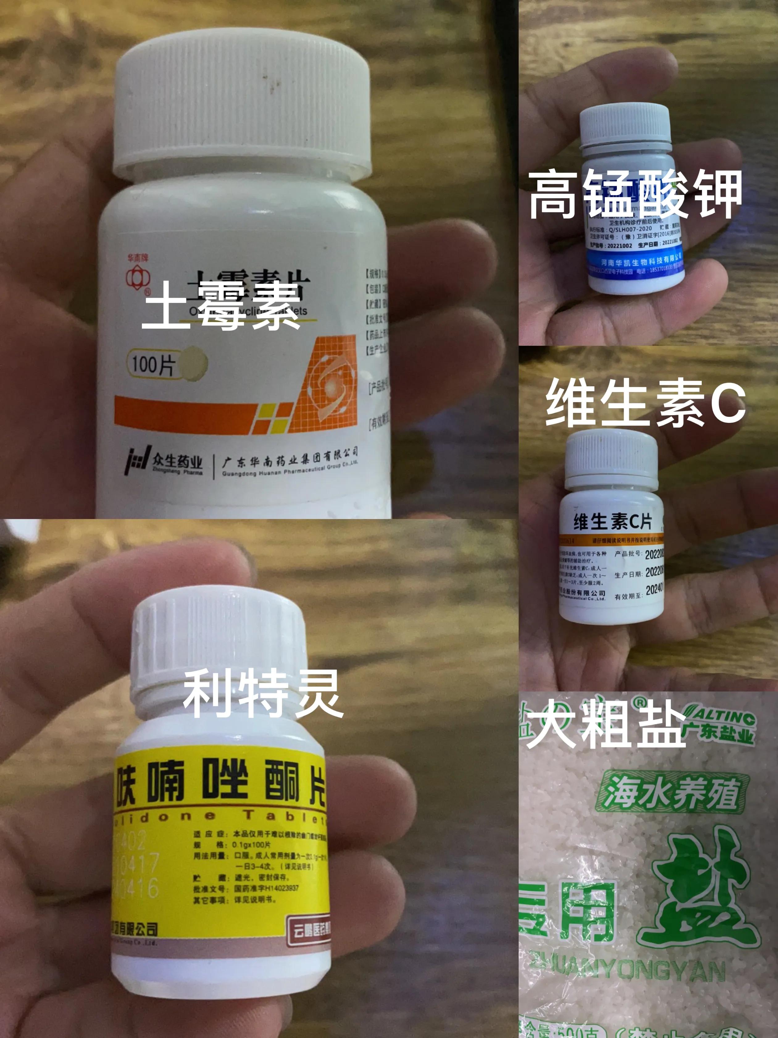 孔雀鱼主要病症及治疗方法,孔雀鱼常见七种疾病的治疗