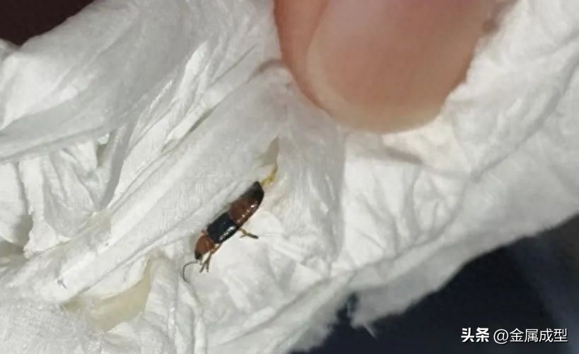 紧迫的！陕西被发现了！男子皮肤多处溃烂，5天仍未愈合