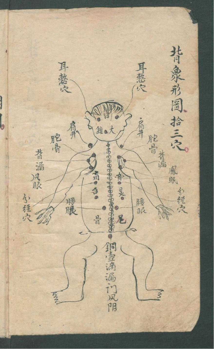 华佗仙师秘传01,华佗仙师秘传全集